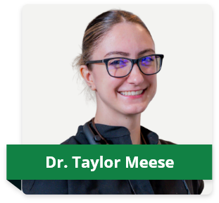 Meese Landing Page